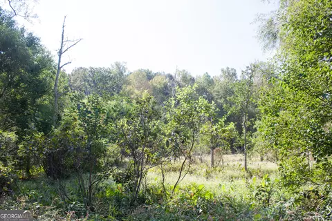 1794 Barton Bridge Rd, Monroe, GA 30655 photo 12