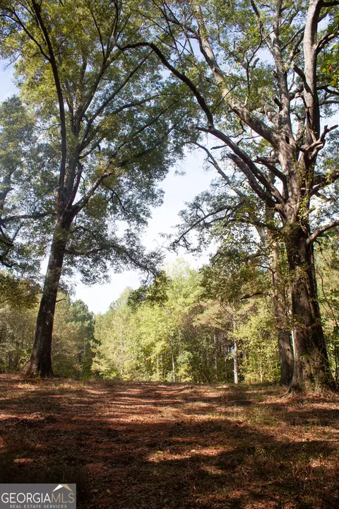 1794 Barton Bridge Rd, Monroe, GA 30655 photo 4