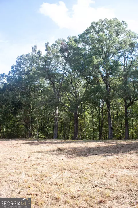 1794 Barton Bridge Rd, Monroe, GA 30655 photo 6