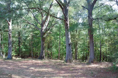 1794 Barton Bridge Rd, Monroe, GA 30655 photo 5