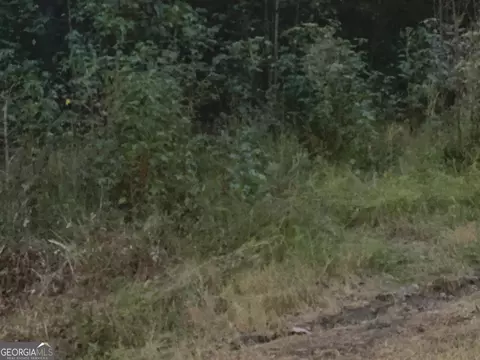 0 W Union Rd, Calhoun, GA 30701 photo 3