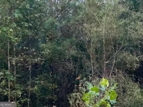 0 W Union Rd, Calhoun, GA 30701 photo 2