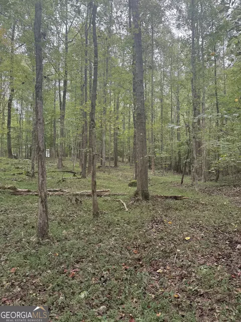389 Branch Dr, Pendergrass, GA 30567 photo 4