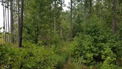 lot4 Old Talbotton Goon School Rd, Thomaston, GA 30286