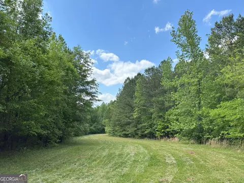 1310 Ham Fork Rd, Union Point, GA 30669 photo 20