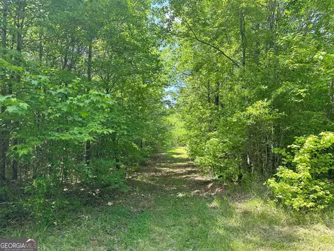 1310 Ham Fork Rd, Union Point, GA 30669 photo 19