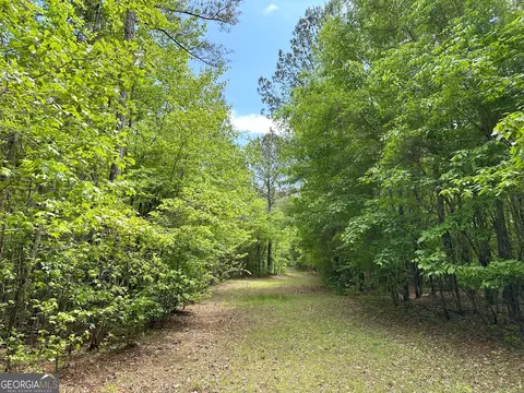 1310 Ham Fork Rd, Union Point, GA 30669 photo 11