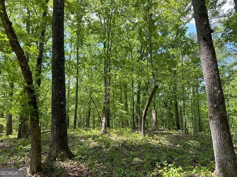 1310 Ham Fork Rd, Union Point, GA 30669 photo 3