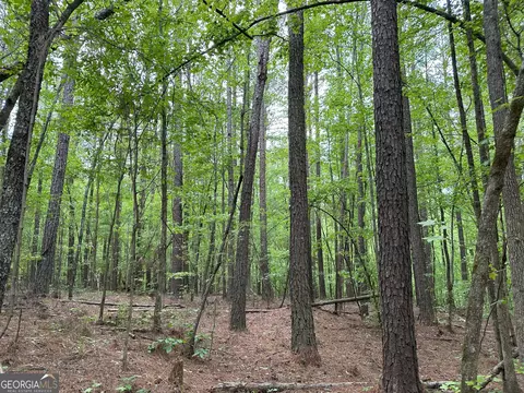 1310 Ham Fork Rd, Union Point, GA 30669 photo 18