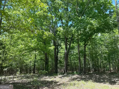 1310 Ham Fork Rd, Union Point, GA 30669 photo 6