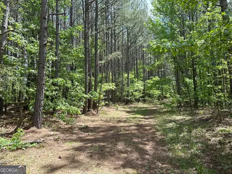 1310 Ham Fork Rd, Union Point, GA 30669 photo 8