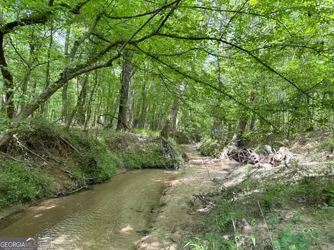 1310 Ham Fork Rd, Union Point, GA 30669 photo 13