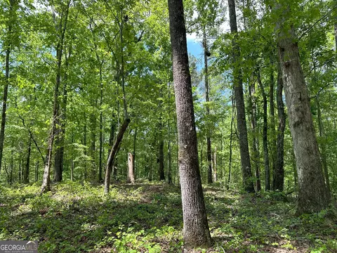 1310 Ham Fork Rd, Union Point, GA 30669 photo 12