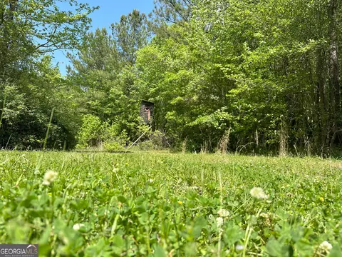 1310 Ham Fork Rd, Union Point, GA 30669 photo 4