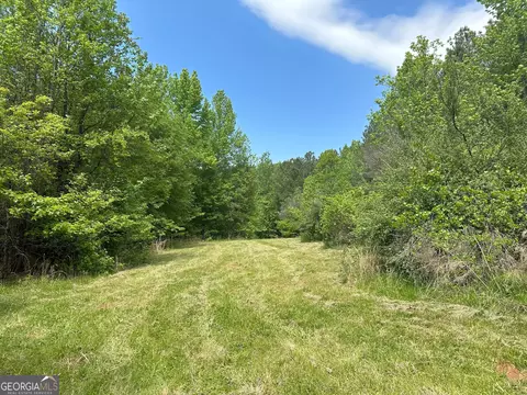 1310 Ham Fork Rd, Union Point, GA 30669 photo 10