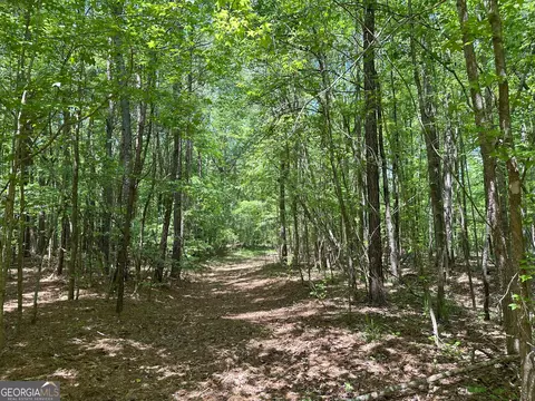 1310 Ham Fork Rd, Union Point, GA 30669 photo 7