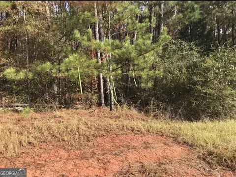 Tract-11 Lower Simmons Road, Macon, GA 31220