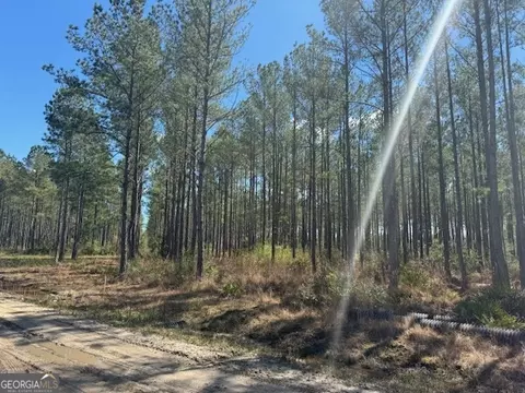 Tract 85 Bertran Trail, Waycross, GA 31503