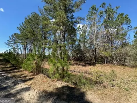 Tract 88 Bertran Trail, Waycross, GA 31503