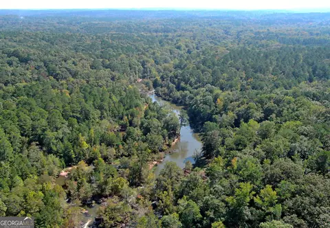 View/Area - 98 Riverview Rd, Jackson, GA 30233 photo 5 of 8