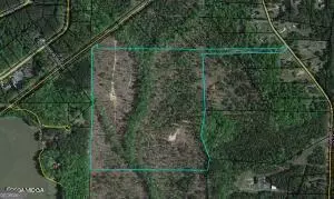 0 Hwy 42n #LOT F, Forsyth, GA 31029