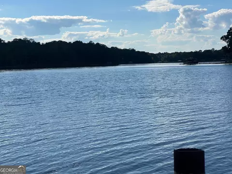 View/Area - 263 E Lakeview Dr, Abbeville, AL 36310 photo 1 of 5