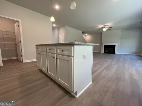 11830 Rizvan Pl, Covington, GA 30014 photo 18