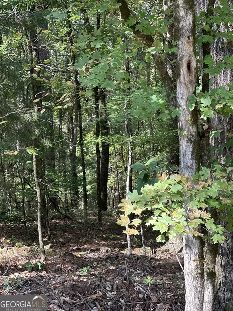 0 Hummingbird Dr #LOT 58, Monticello, GA 31064