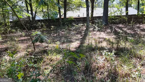 0 Daniel St, Hampton, GA 30228 photo 2