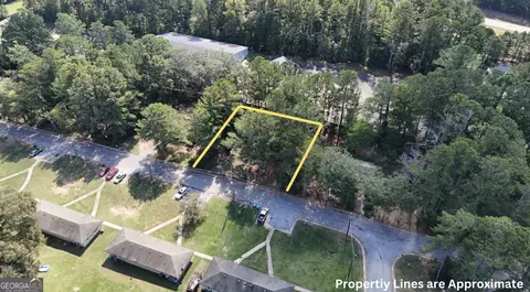 0 Daniel St, Hampton, GA 30228 photo 7