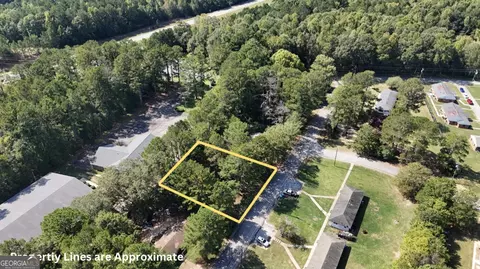0 Daniel St, Hampton, GA 30228 photo 9