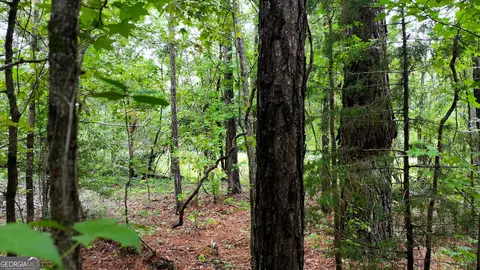 0 Boiling Springs Rd, Soperton, GA 30457