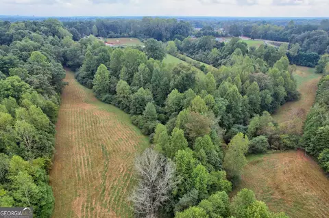 4213 Pea Ridge Rd, Cornelia, GA 30531 photo 47