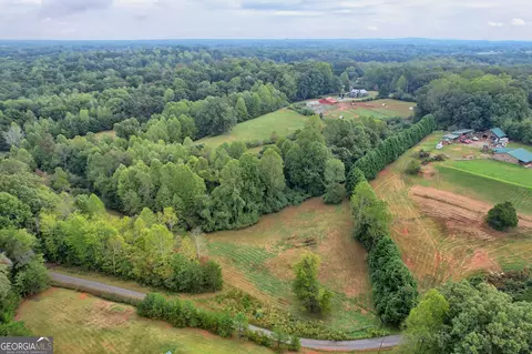 4213 Pea Ridge Rd, Cornelia, GA 30531 photo 41