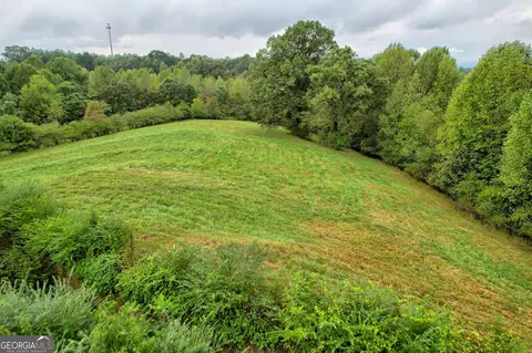 4213 Pea Ridge Rd, Cornelia, GA 30531 photo 52