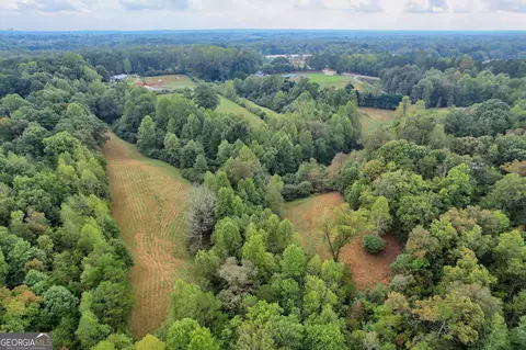 4213 Pea Ridge Rd, Cornelia, GA 30531 photo 43