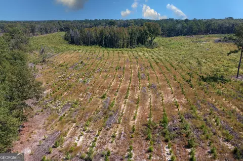 0 Double Pond Rd, Blackville, SC 29817