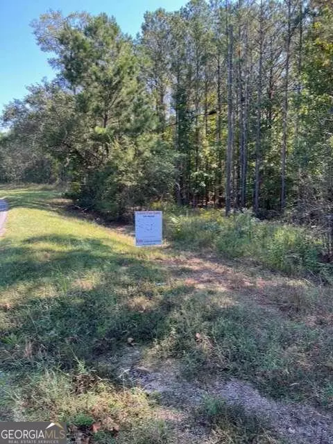 0 Spradlin Rd, Franklin, GA 30217 photo 5