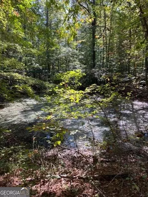0 Spradlin Rd, Franklin, GA 30217 photo 4