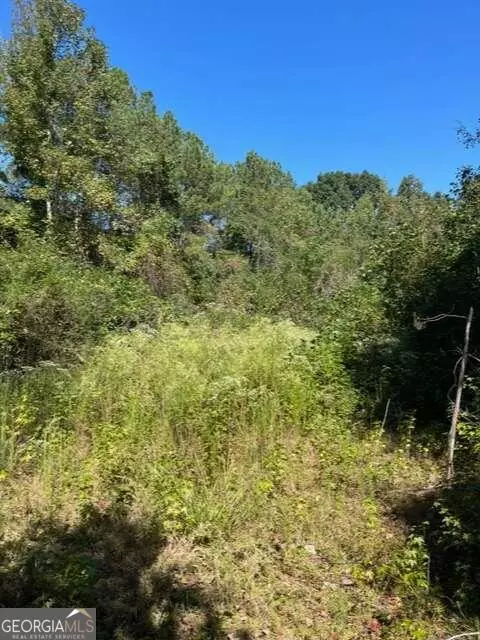0 Spradlin Rd, Franklin, GA 30217 photo 3