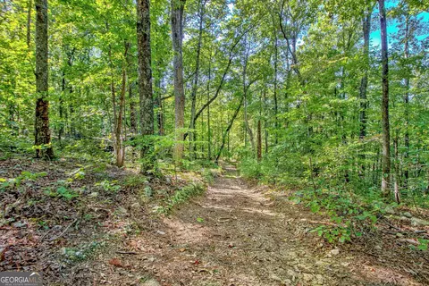Other - 205 Carson Rd, Brooks, GA 30205 photo 18 of 25