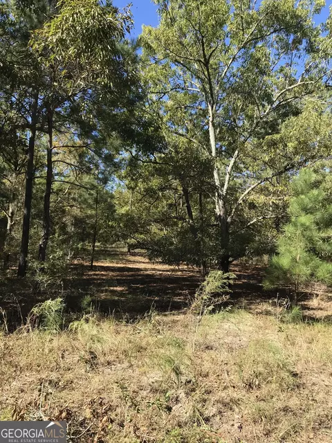 0 Edwards Loop, Clyo, GA 31303 photo 3