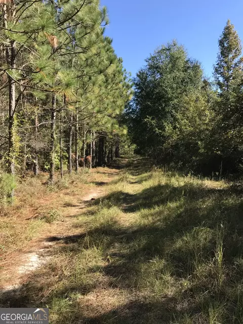 0 Edwards Loop, Clyo, GA 31303 photo 4