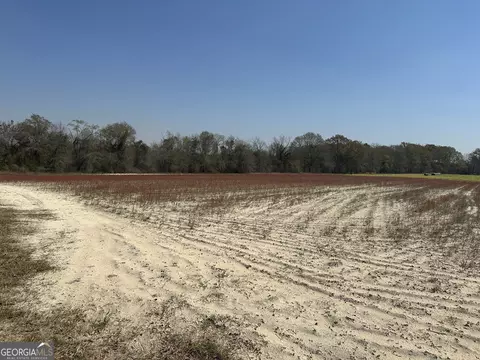0 Seaborn Vickery Rd #TRACT 2, Statesboro, GA 30461