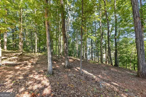 127 Riverbluff Dr, Lagrange, GA 30240 photo 63