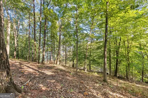 127 Riverbluff Dr, Lagrange, GA 30240 photo 62