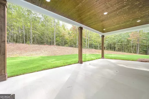 175 Willow Leaf Dr, Buchanan, GA 30113 photo 11