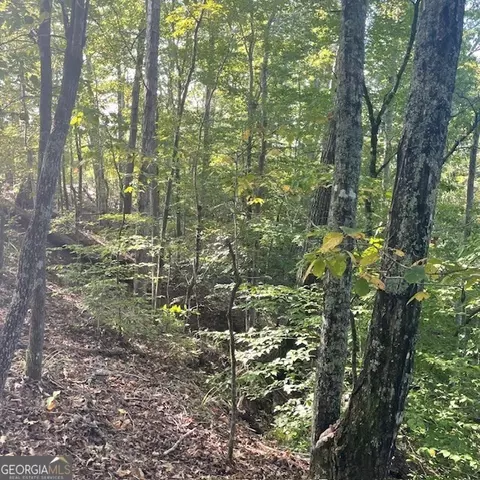 80 Acres Reeves Rd, Roberta, GA 31078 photo 17