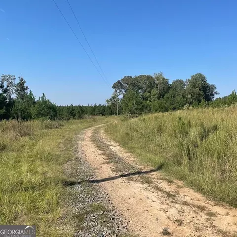80 Acres Reeves Rd, Roberta, GA 31078 photo 13
