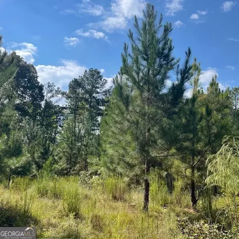 80 Acres Reeves Rd, Roberta, GA 31078 photo 14
